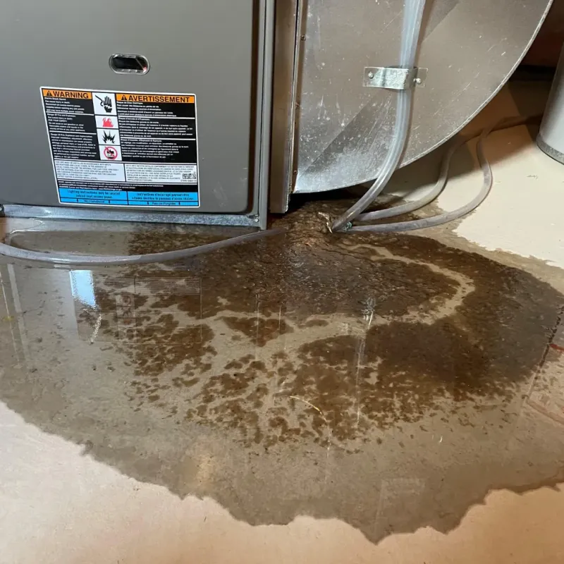 Appliance Leak Cleanup in Haywood County, NC